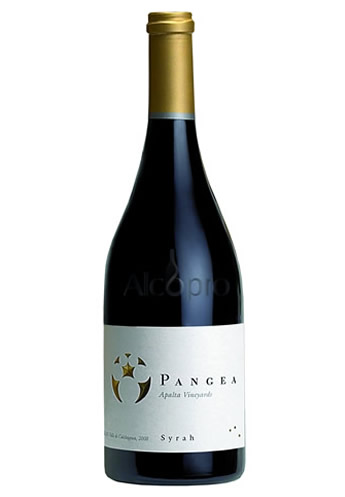 盘古 PANGEA干红（智利酒王）