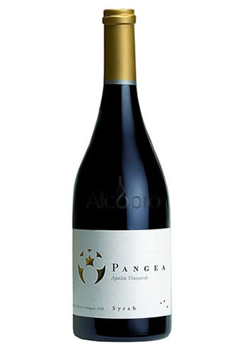 盘古 PANGEA干红（智利酒王）